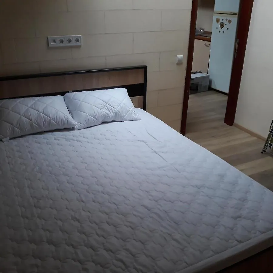 Velka Vasylkivska, 132. Appartement Kiev